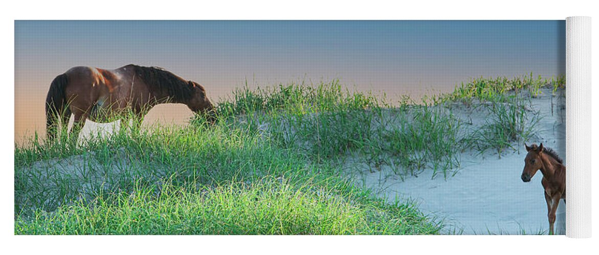 Mare Yoga Mat featuring the photograph Wild Horses by Skip Tribby