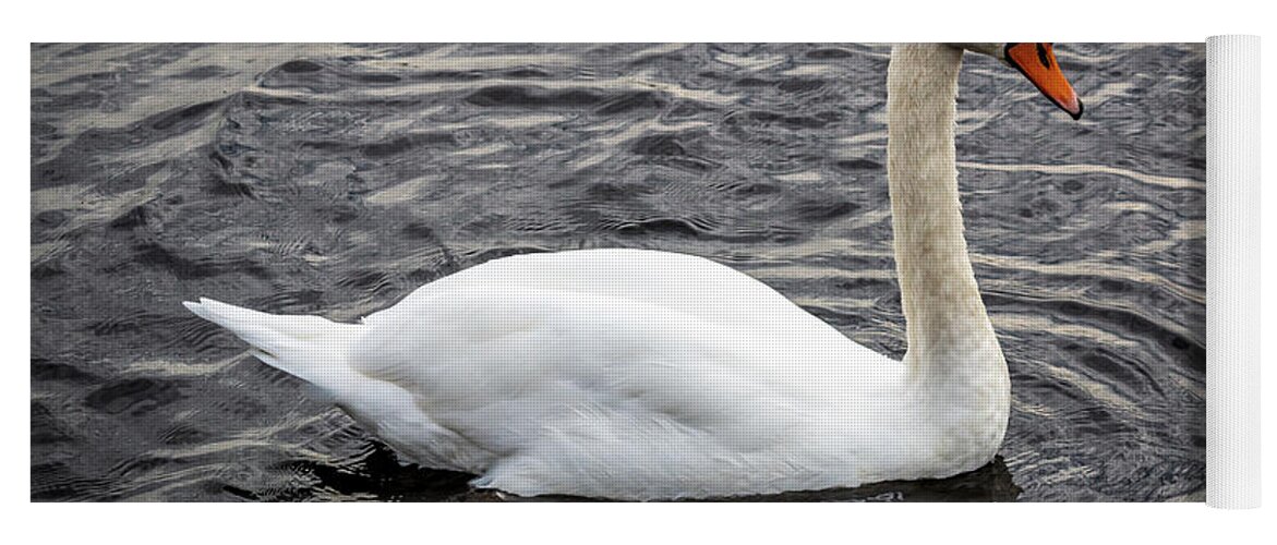 Irish Yoga Mat featuring the photograph Wild Irish Swan by Susie Weaver