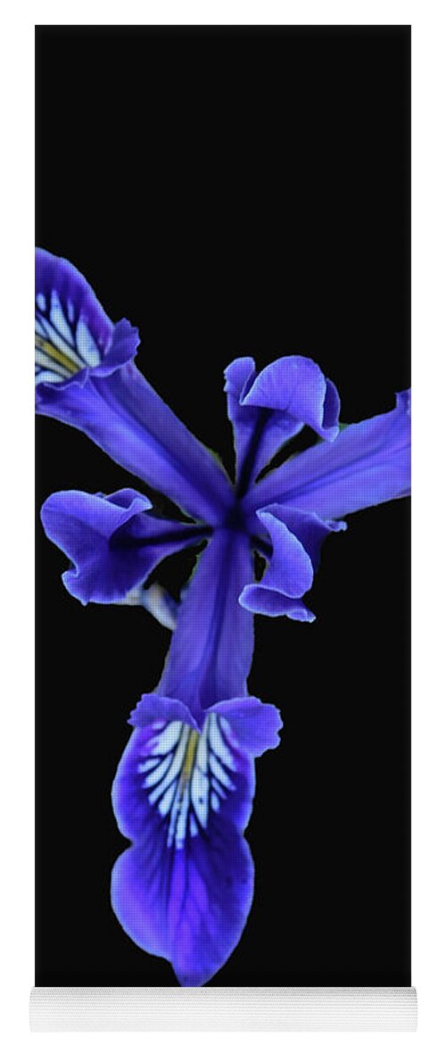 Flower Yoga Mat featuring the photograph Wild Purple Iris by Carl Moore