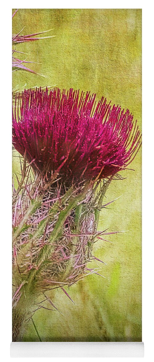 Flower Yoga Mat featuring the photograph Wild Thistle in South Carolina by Bellesouth Studio
