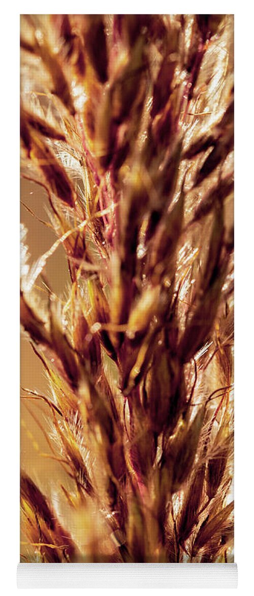 Wheat Yoga Mat featuring the photograph Wild Wheat 2 by Amelia Pearn