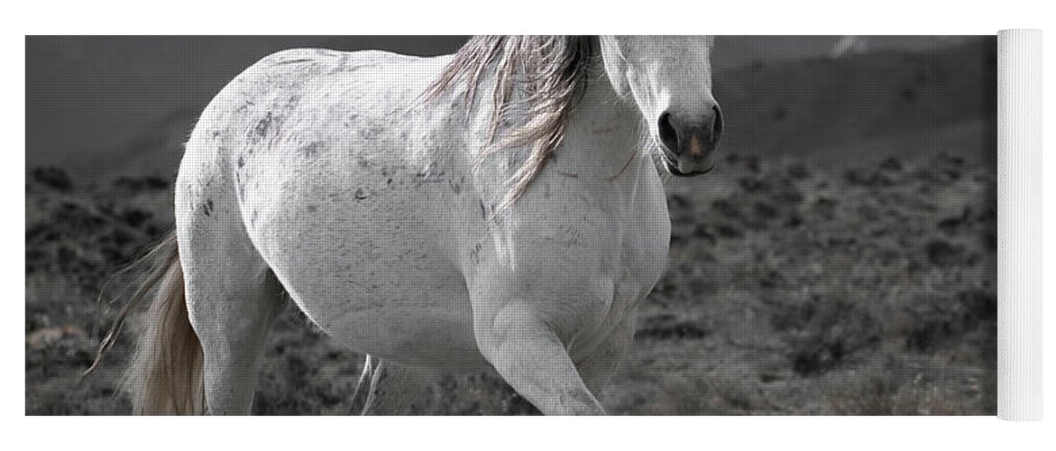 Wild Horses Yoga Mat featuring the photograph Wild, Wild Wind by Mary Hone