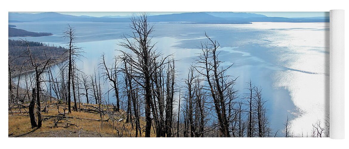 Lake Yellowstone Yoga Mat featuring the photograph Wildfire Devastation by Robert Carter