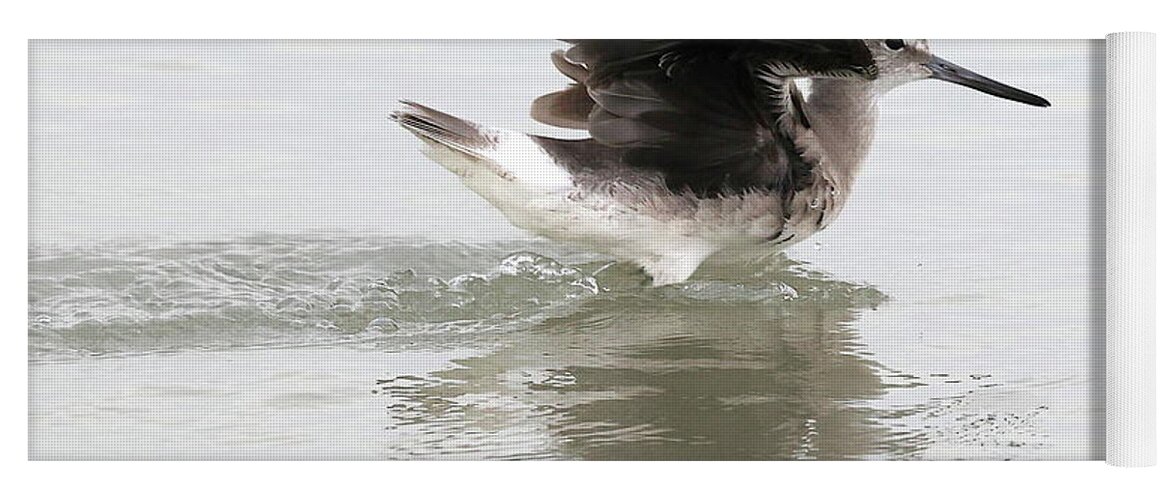 Willet Yoga Mat featuring the photograph Willet's Impressive Wings 1 by Mingming Jiang