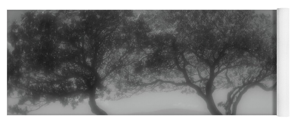 Maui Yoga Mat featuring the photograph Wind Bent Trees in Black and White by Tina Horne