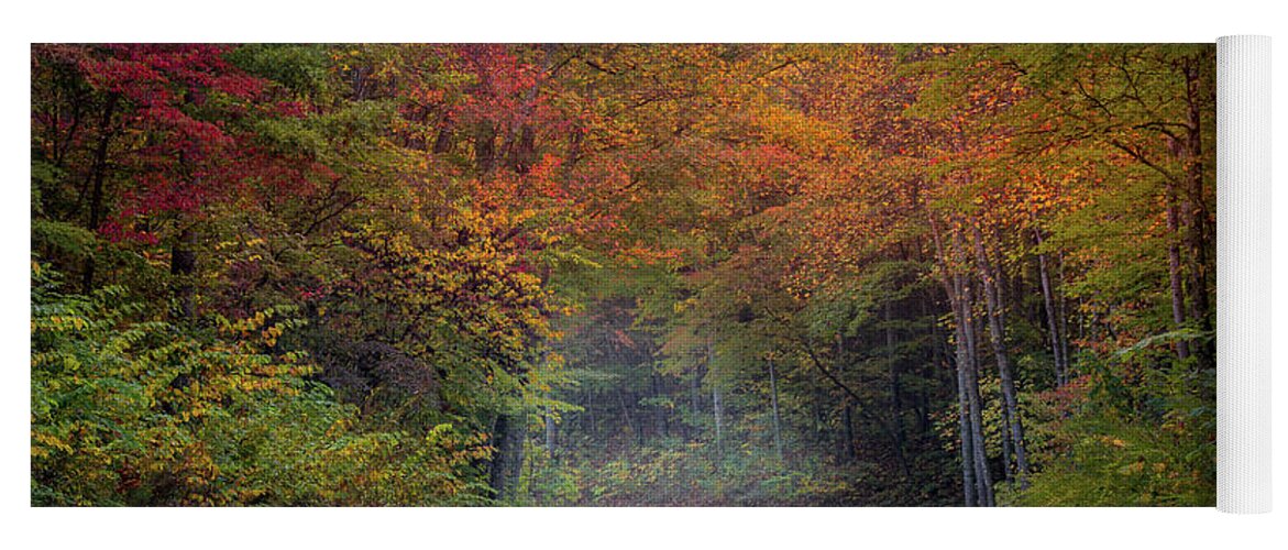 Fall Colors Yoga Mat featuring the photograph Winding Road by Darrell DeRosia