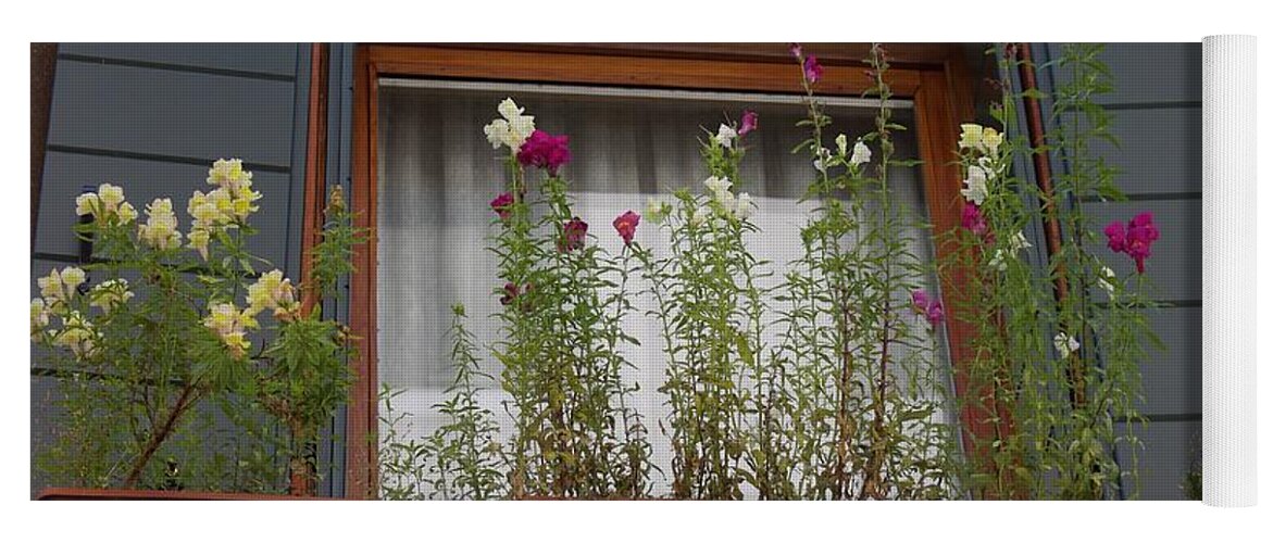 Window Box Yoga Mat featuring the photograph Window Garden - Venice by Yvonne M Smith