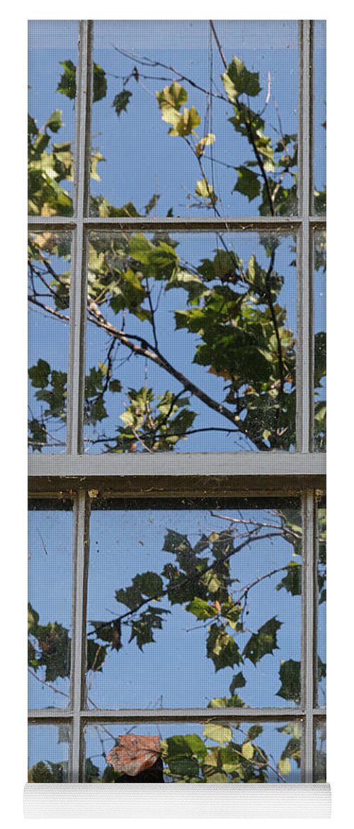 Window Yoga Mat featuring the photograph Window Time by Tony Locke