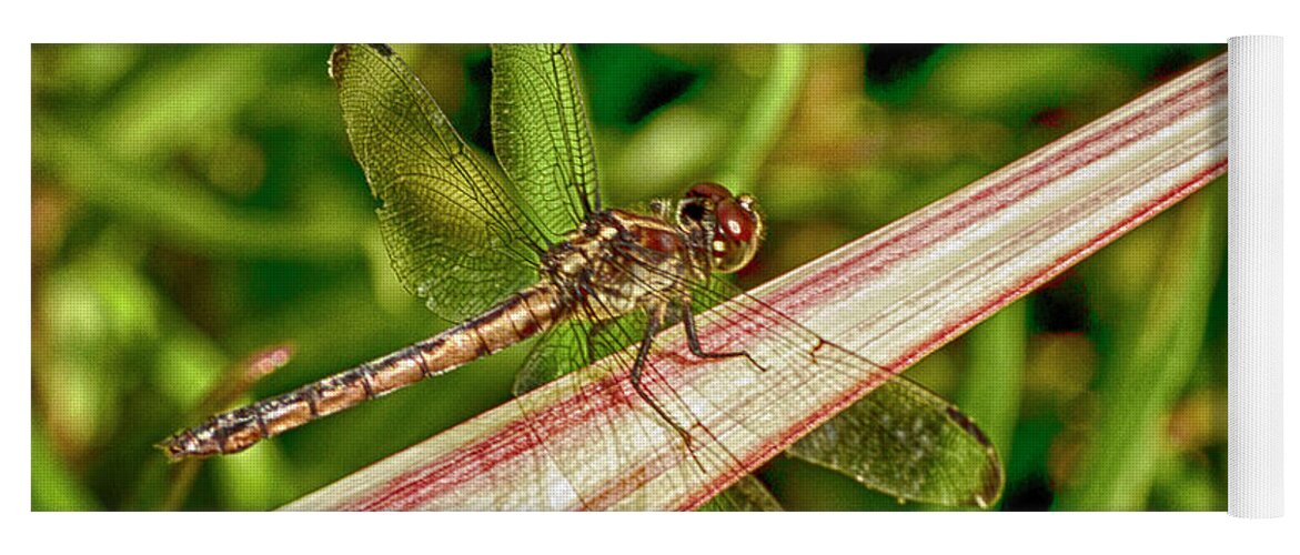 Dragonfly Yoga Mat featuring the photograph Winged Dragon by Bill Barber