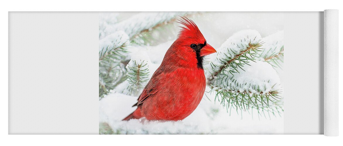Winter Yoga Mat featuring the photograph Winter Cardinal Square by Christina Rollo