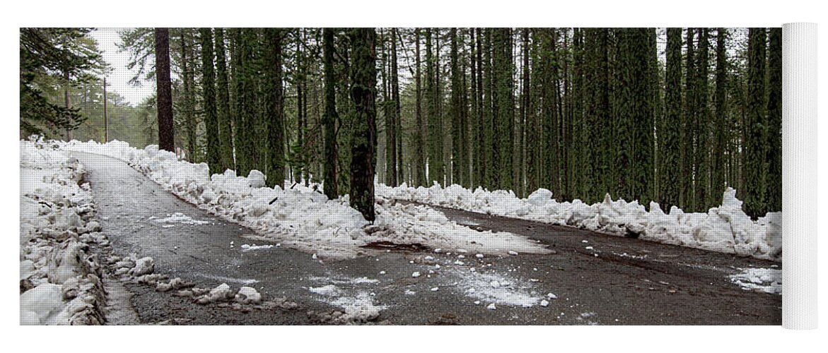 Wintertime Yoga Mat featuring the photograph Winter forest landscape with snow on the ground by Michalakis Ppalis