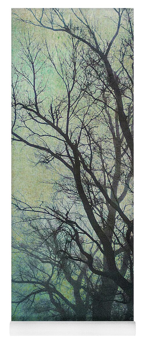 Tree Yoga Mat featuring the photograph Winter Gloom by Roseanne Jones