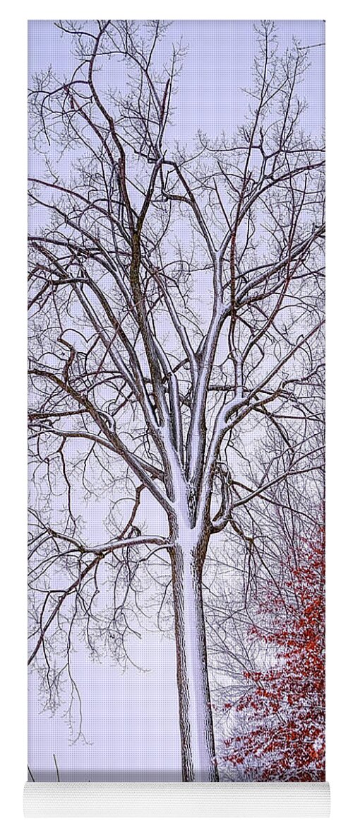 White Yoga Mat featuring the photograph Winter, i don't wanna a lose red by Carl Marceau
