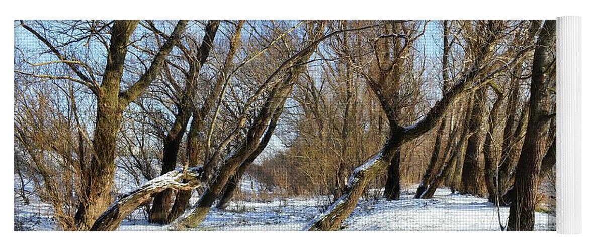 Winter Idyll Yoga Mat featuring the photograph Winter Idyll in a Forest 02 by Leonida Arte