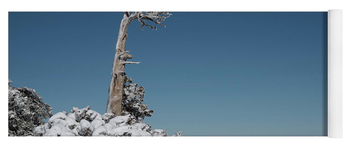 Single Tree Yoga Mat featuring the photograph Winter landscape in snowy mountains. frozen snowy lonely fir trees against blue sky. by Michalakis Ppalis