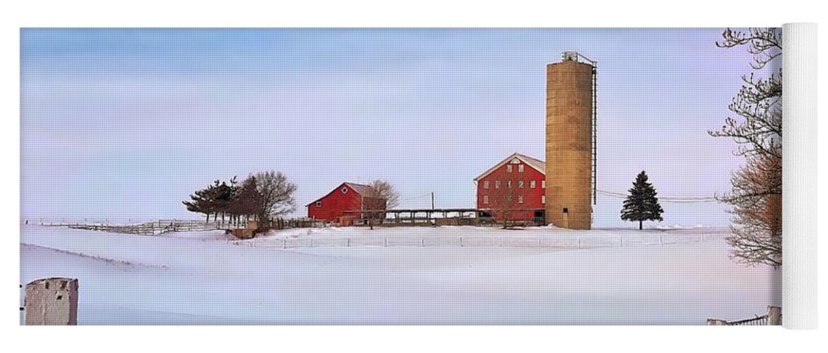 Indiana Yoga Mat featuring the photograph Winter Red by Andrea Platt