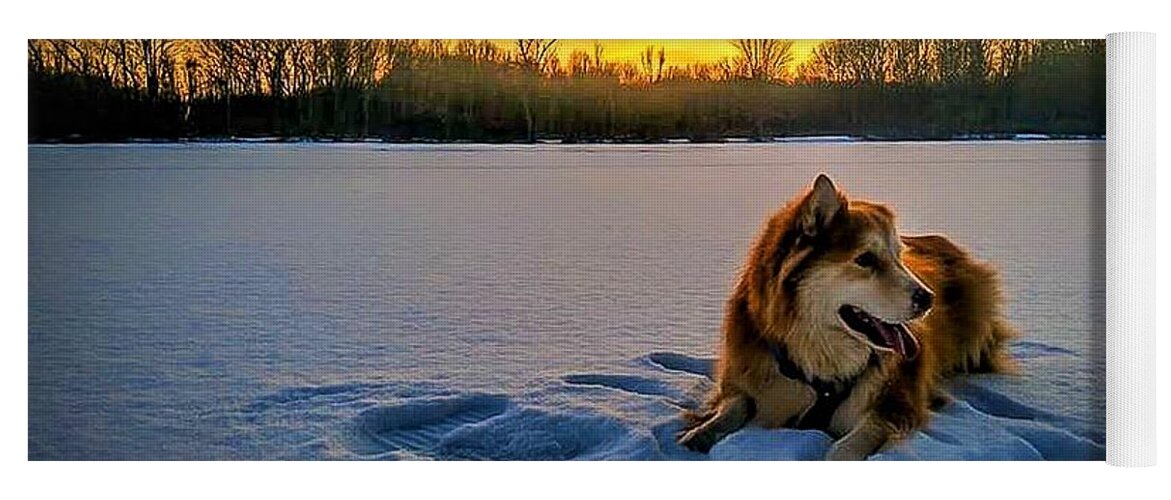  Yoga Mat featuring the photograph Winter Sunset by Brad Nellis