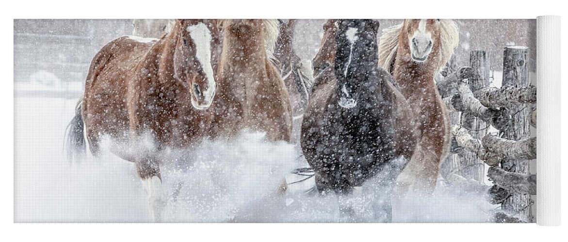 Horse Yoga Mat featuring the photograph Winter Thunderland by Dawn Key