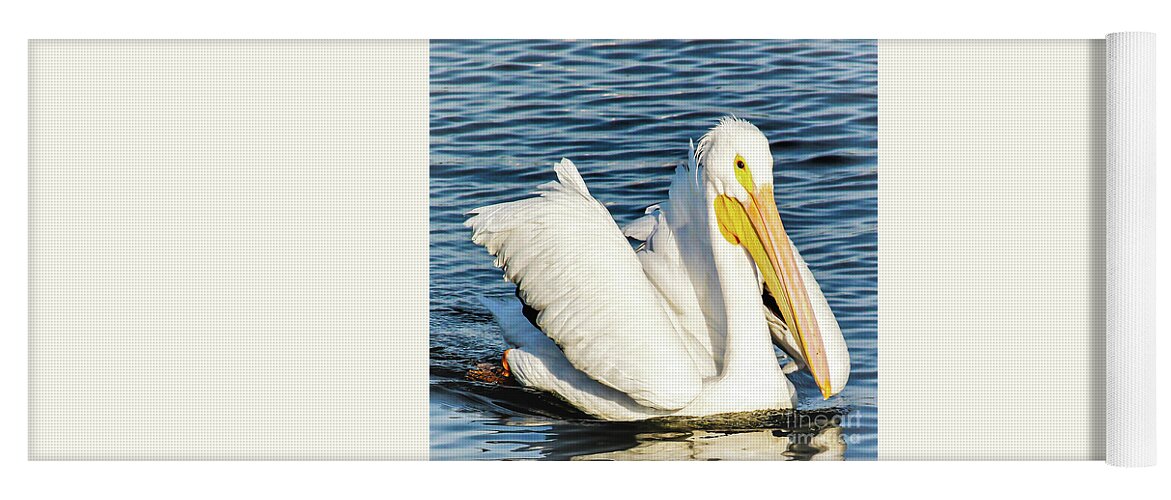 White Pelican Yoga Mat featuring the photograph Wintering in Florida by Joanne Carey
