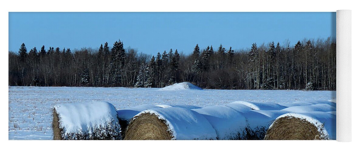 Canada Yoga Mat featuring the photograph Winter's Coming by Mary Mikawoz