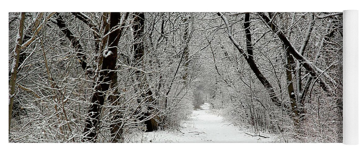 Snow Yoga Mat featuring the photograph Winter's Path - Niagara on the Lake by Kenneth Lane Smith