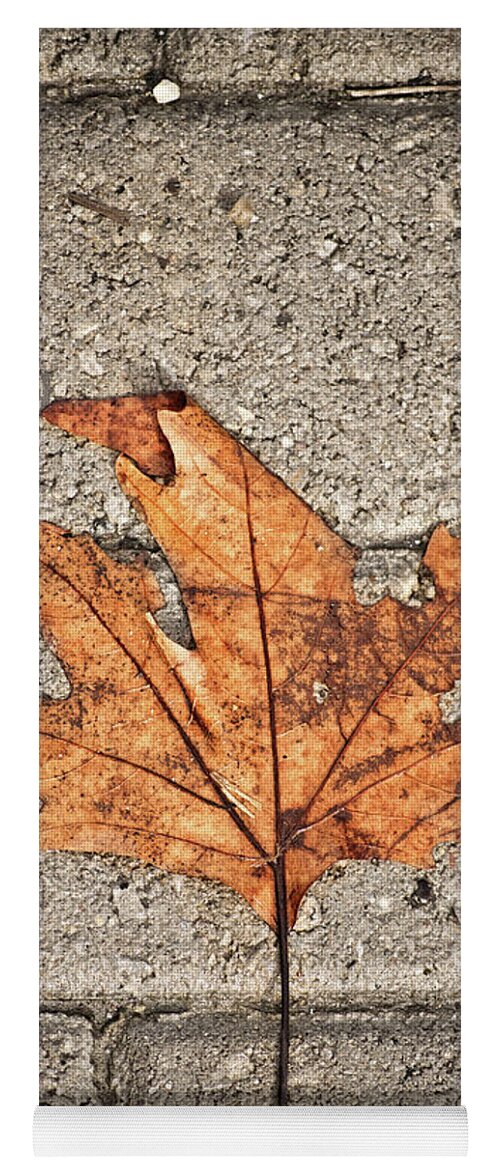 Leaf Yoga Mat featuring the photograph Withered leaf over concrete blocks by Mendelex Photography