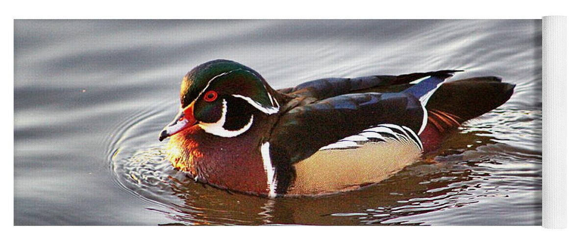 Wood Duck Yoga Mat featuring the photograph Wood Duck Drake in the Afternoon by Sea Change Vibes