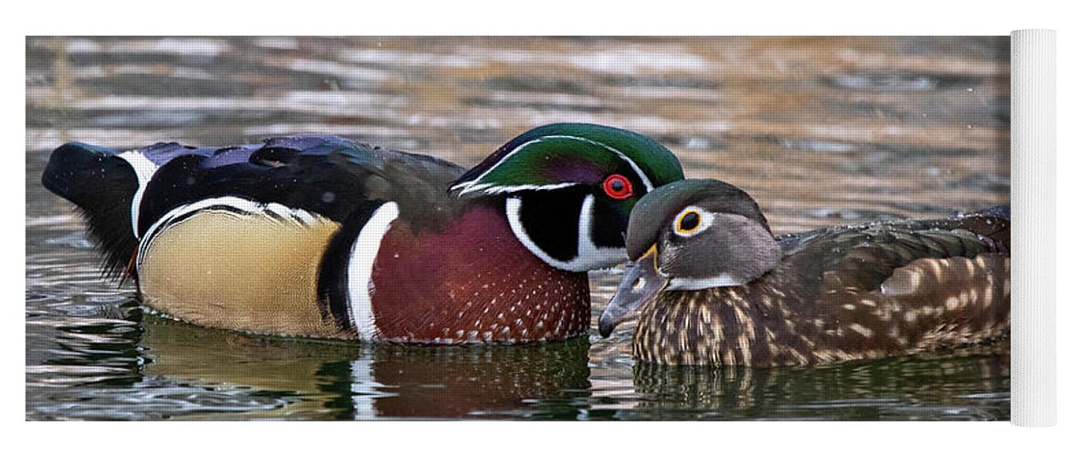 Wood Ducks Yoga Mat featuring the photograph Wood Duck Pair by Wesley Aston