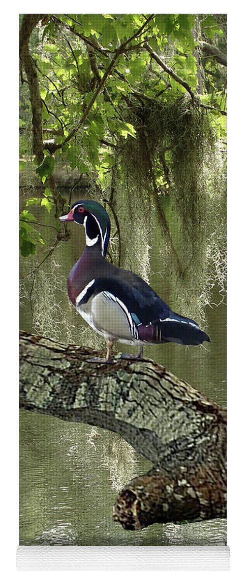 Ducks Yoga Mat featuring the digital art Wood Ducks of Florida by M Spadecaller