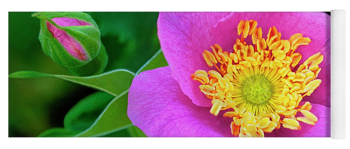 Dave Welling Yoga Mat featuring the photograph Wood Rose Rosa Woodsii California by Dave Welling