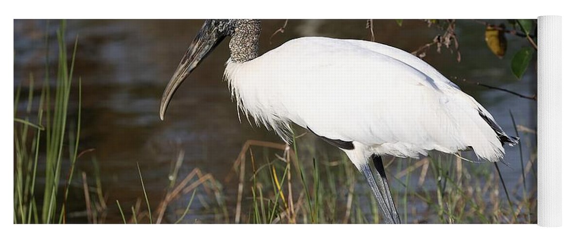 Wood Storks Yoga Mat featuring the photograph Wood stork 4 by Mingming Jiang