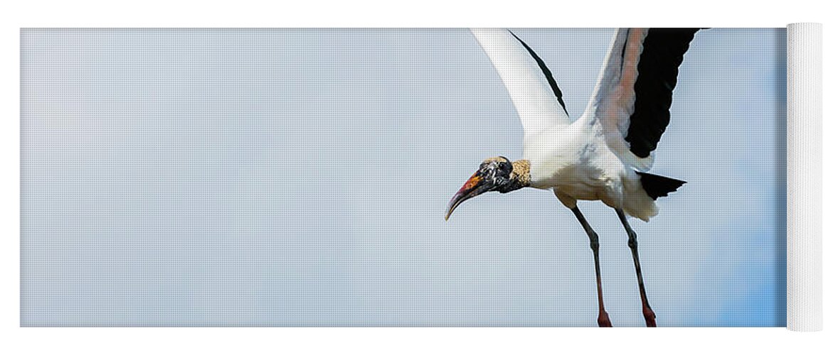 Birds Yoga Mat featuring the photograph Wood Stork by David Lee