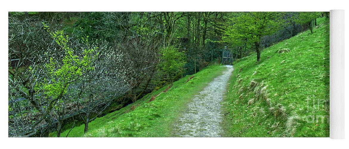 Woodland Pathway Yoga Mat featuring the photograph Woodland pathway in Manchester UK by Pics By Tony