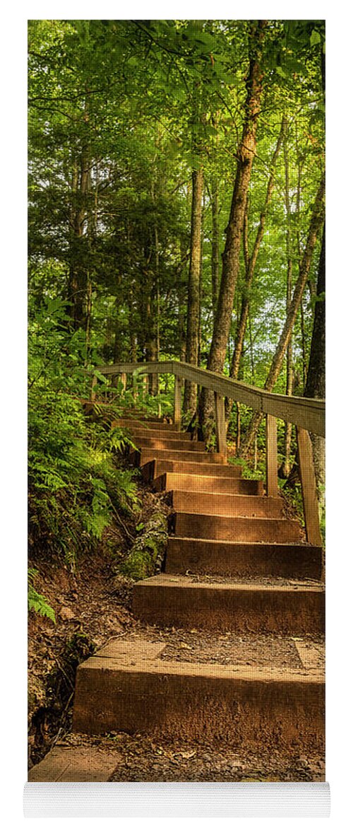 Forest Yoga Mat featuring the photograph Woodland Staircase by Nate Brack