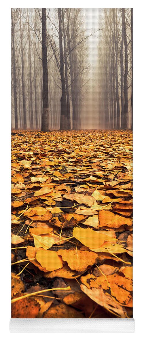 Bulgaria Yoga Mat featuring the photograph Yellow Carpet by Evgeni Dinev