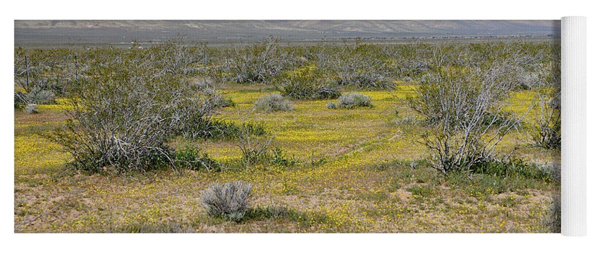 Spring Yoga Mat featuring the photograph Yellow Carpet on Mojave Desert by Bonnie Colgan