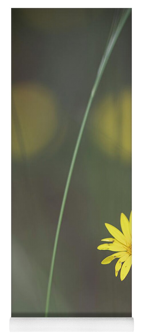 Daisy Yoga Mat featuring the photograph Yellow Daisy Close-up by Karen Rispin