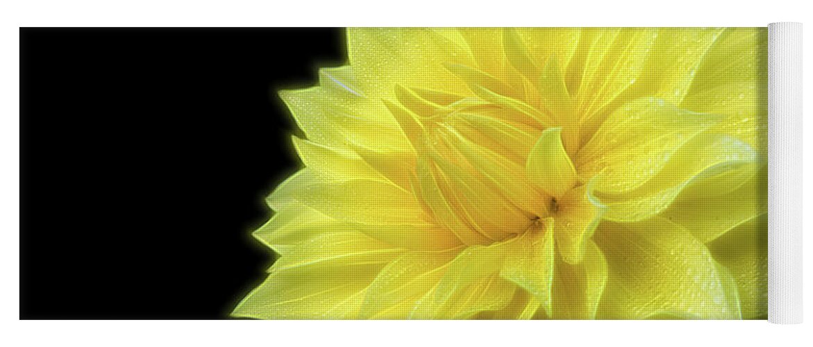 Dahlia Photography Yoga Mat featuring the photograph Yellow Dandy by Judi Kubes