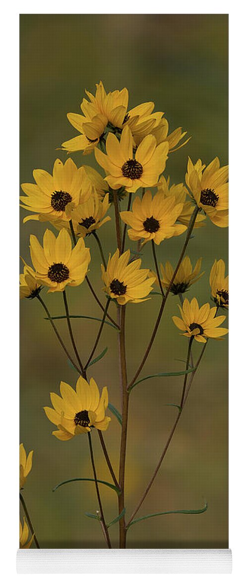 Flowers Yoga Mat featuring the photograph Yellow Flowers by Deborah Ritch