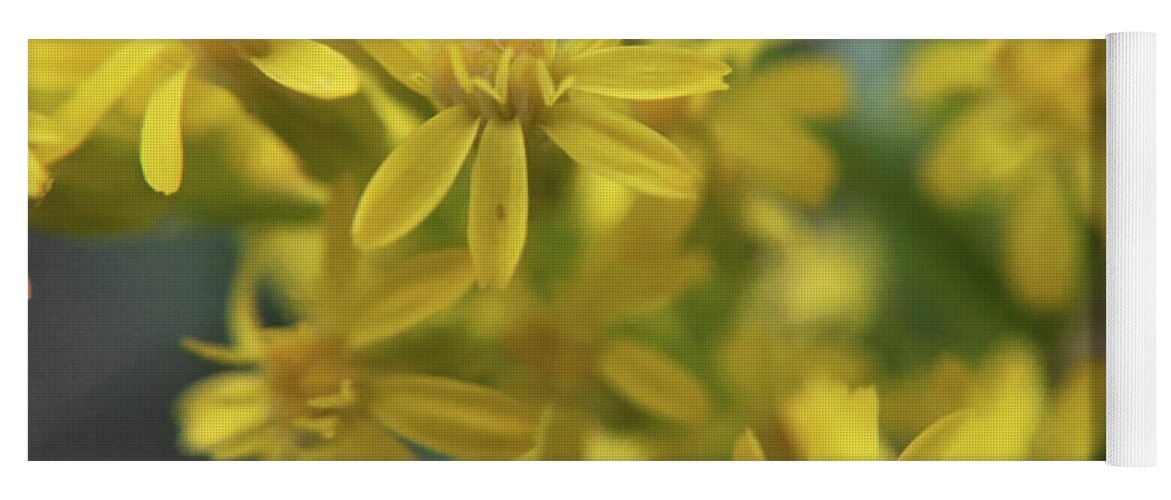 Springtime Yoga Mat featuring the photograph Yellow Flowers by K Bradley Washburn