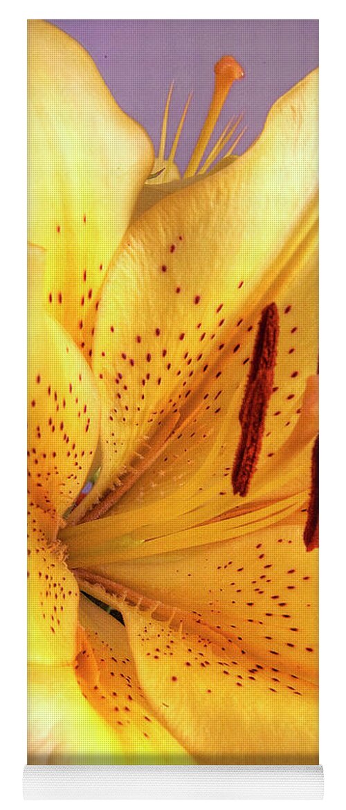 Lily Yoga Mat featuring the photograph Yellow Lily by Paolo Signorini