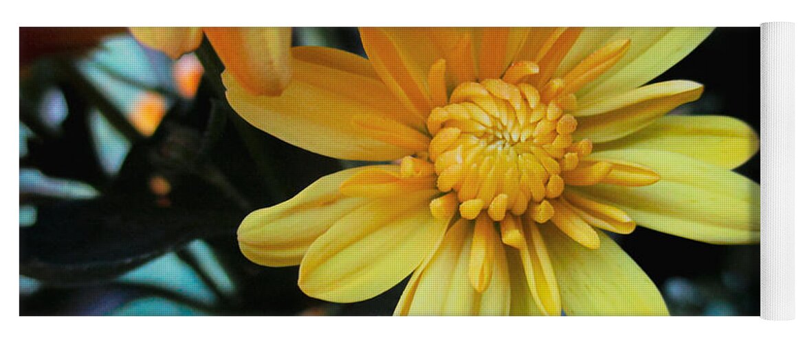 Marigold Yoga Mat featuring the photograph Yellow Marigold by W Craig Photography