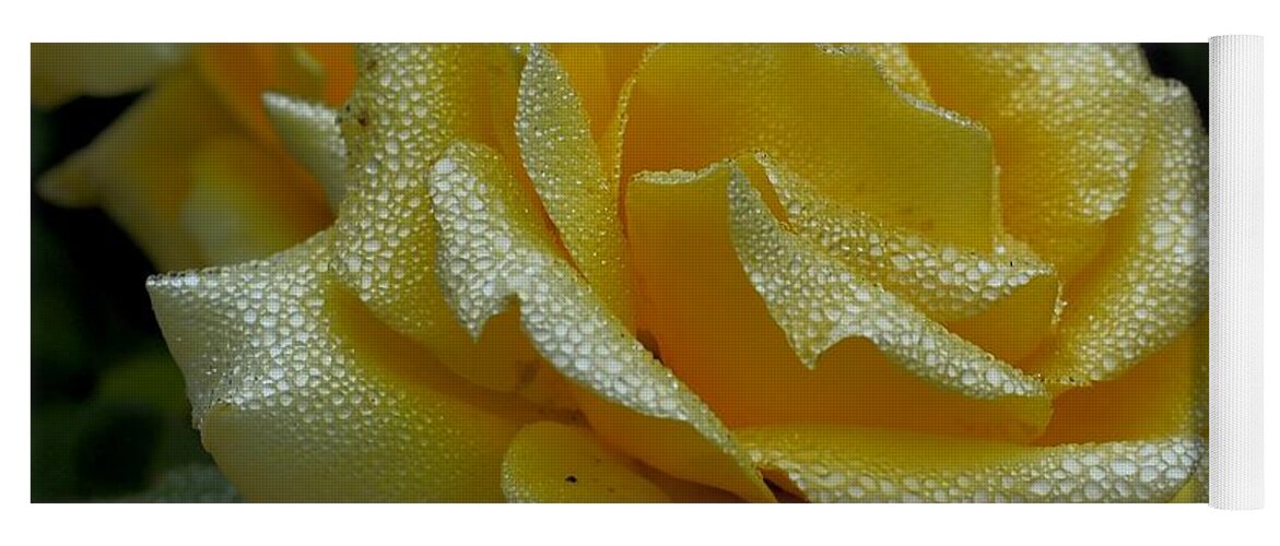 Botanical Yoga Mat featuring the photograph Yellow Misty Beauty by Richard Thomas