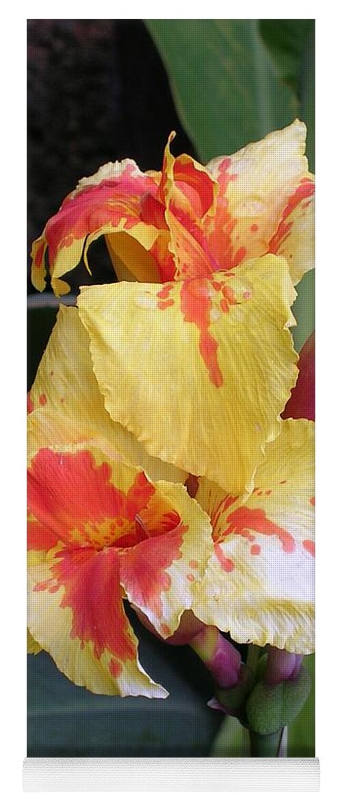 Flower Yoga Mat featuring the photograph Yellow Orange Iris by Valerie Ornstein