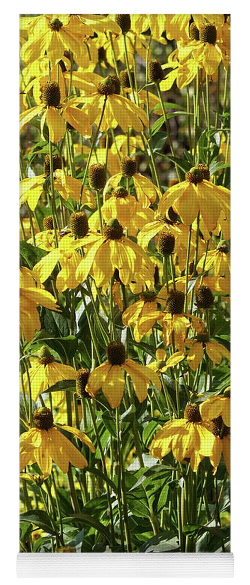 Yellow Yoga Mat featuring the photograph Yellow Rudbeckia by Jeff Townsend