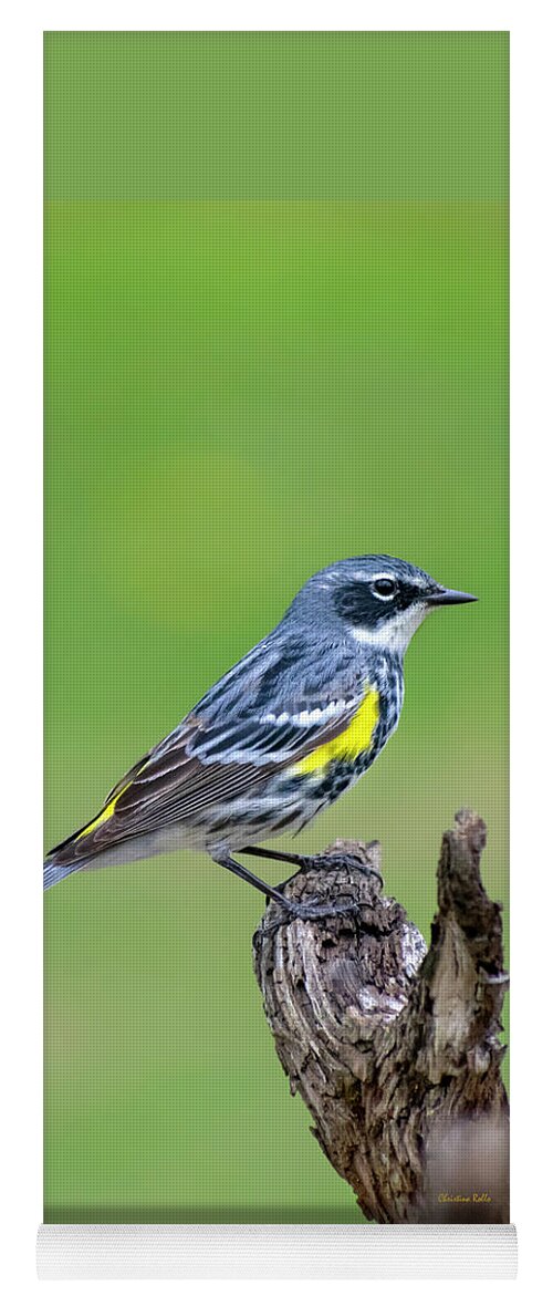 Birds Yoga Mat featuring the photograph Yellow Rumped Warbler by Christina Rollo