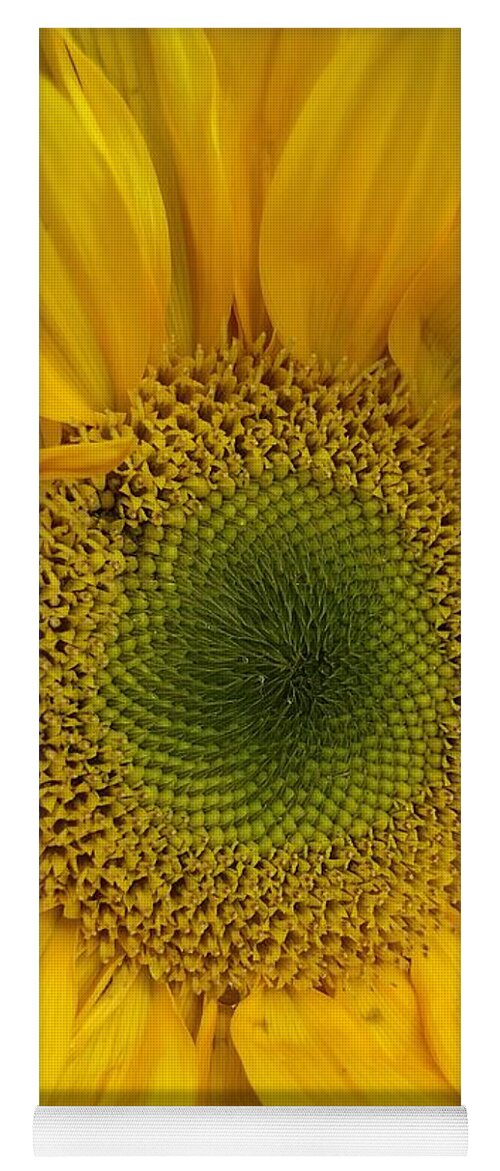 Sunflower Yoga Mat featuring the photograph Yellow Sunflower by Lisa Pearlman