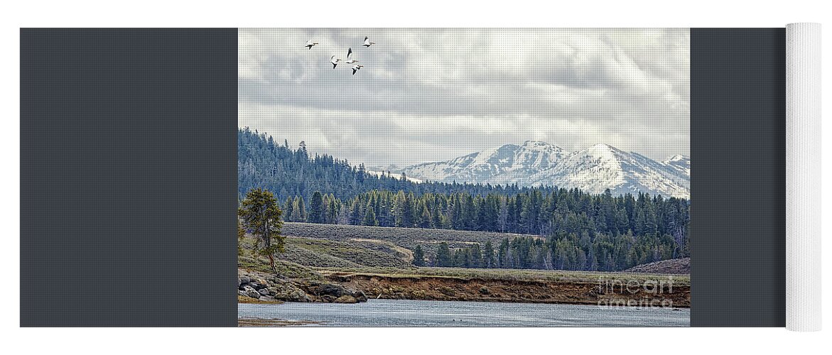 Pelican Yoga Mat featuring the photograph Yellowstone Flight by Natural Focal Point Photography