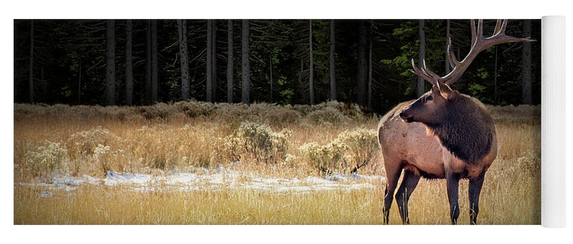 Elk Yoga Mat featuring the photograph Yellowstone National Park Elk Wapiti by Randall Nyhof