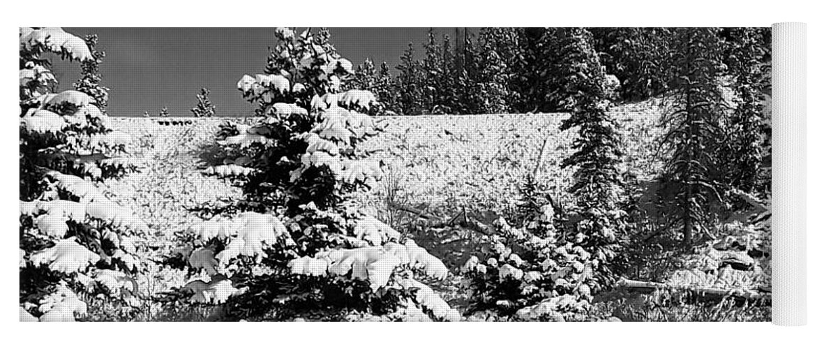 National Park Yoga Mat featuring the photograph Yellowstone Winter by Bill Hamilton